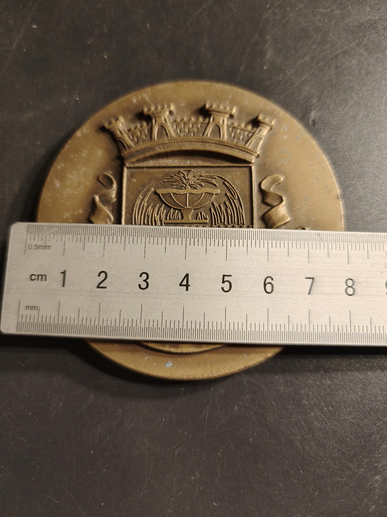 老王徽章第158期 葡萄牙马尔科德卡纳维泽斯市大铜章     直径78mm.   重量220g