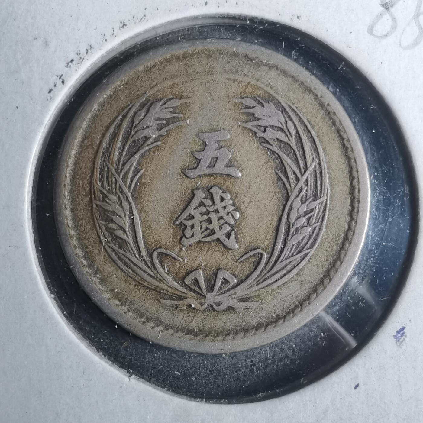 沼泽如烟--第883场