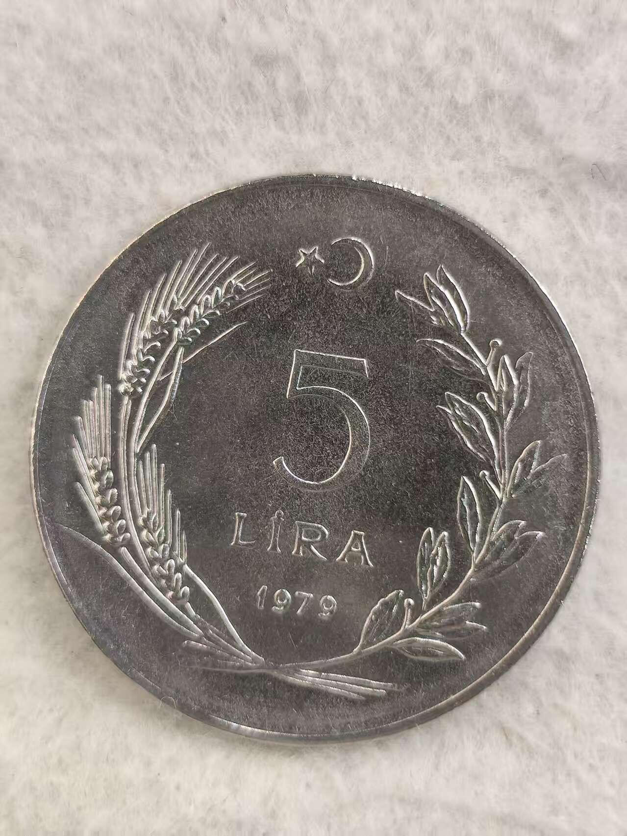 G&W世界散币，银币处理专场（第34场） 土耳其1879年5里拉