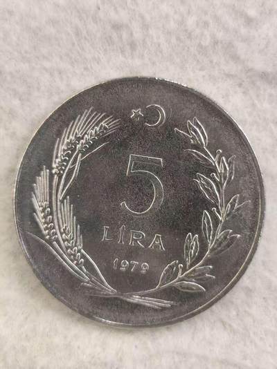 G&W世界散币，银币处理专场（第34场） - 土耳其1879年5里拉