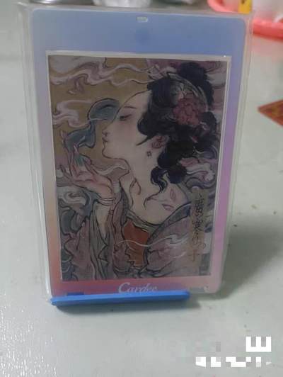 秋原瞳的小店第二十六期（持续收拍，日子飞快，转眼又是一年冬来到） - 特稀——手绘——胡艺龙——广寒仙子（嫦娥！！！）