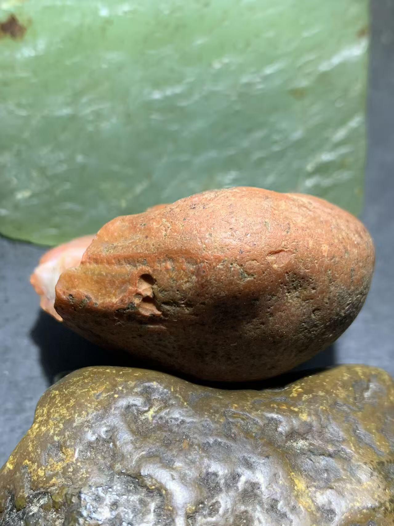 精美柿子红皮开窗料红白南红玛瑙原石一颗，