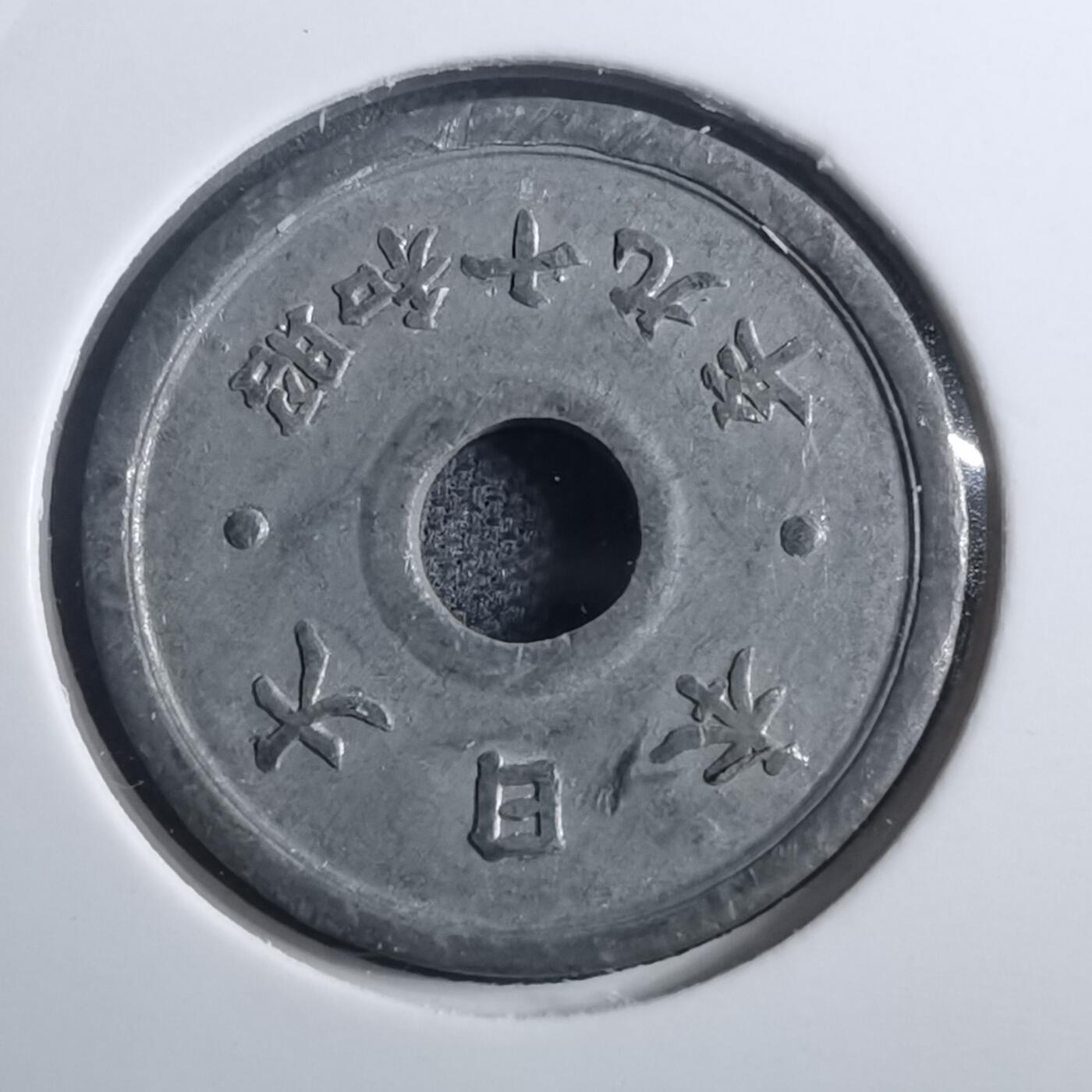 沼泽如烟--第884场