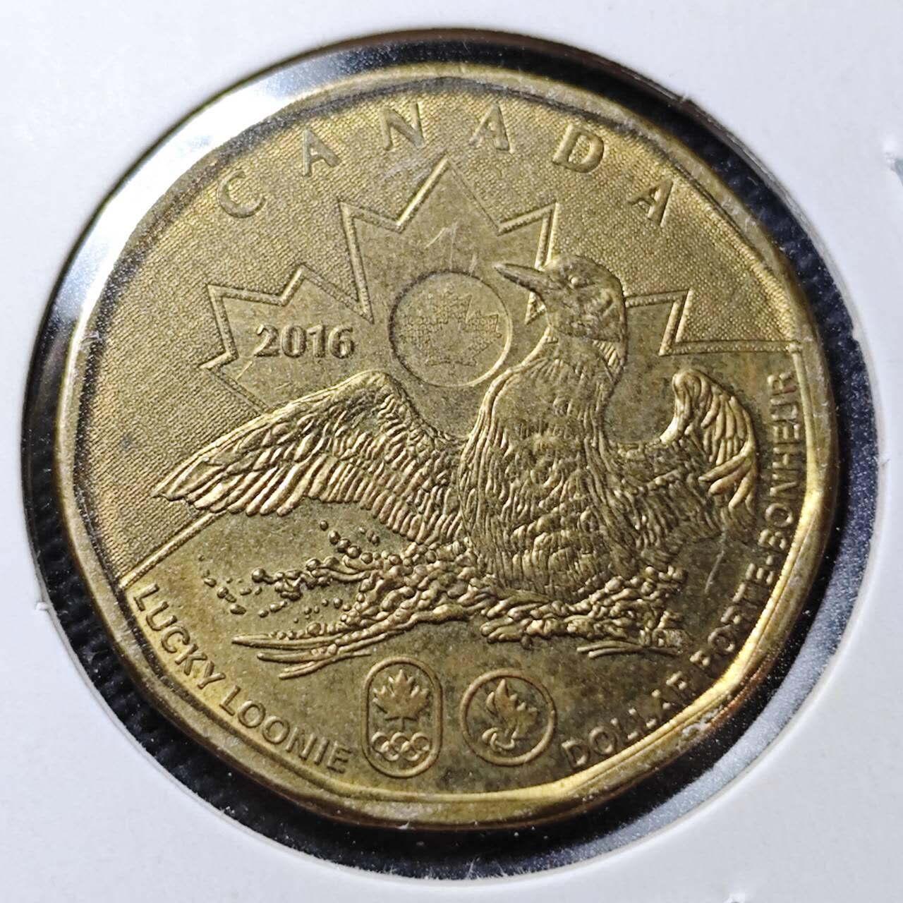 KK钱币收藏小铺  第358场  2月预留时间 周末发货  2016加拿大1元 奥运纪念币