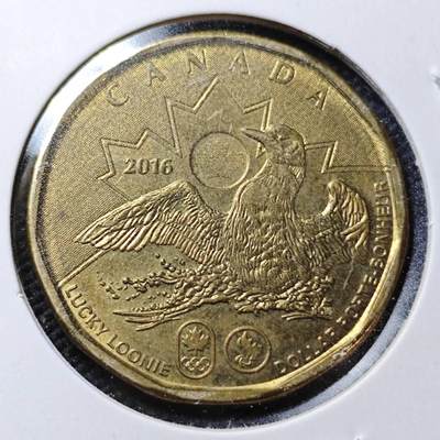 KK钱币收藏小铺  第358场  2月预留时间 周末发货 -  2016加拿大1元 奥运纪念币