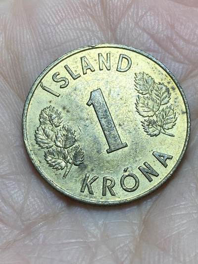 2025年第一百一十六场(总第一百四十二场）外国好品散币(免佣金) - 冰岛🇮🇸1970年1克朗
