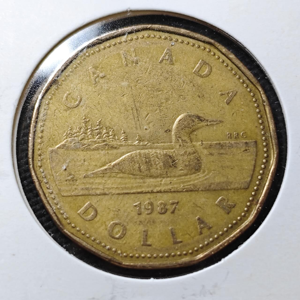 KK钱币收藏小铺  第358场  2月预留时间 周末发货  加拿大1元