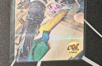 比较正常的拍卖场 不寄存 不寄存（需要看图私信） - 女神物语coser卡15（纲手）
