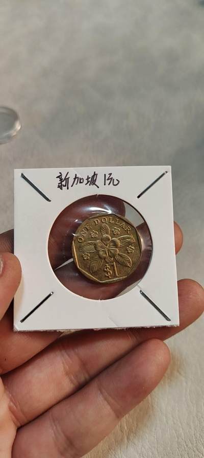 图南收藏 - 新加坡
