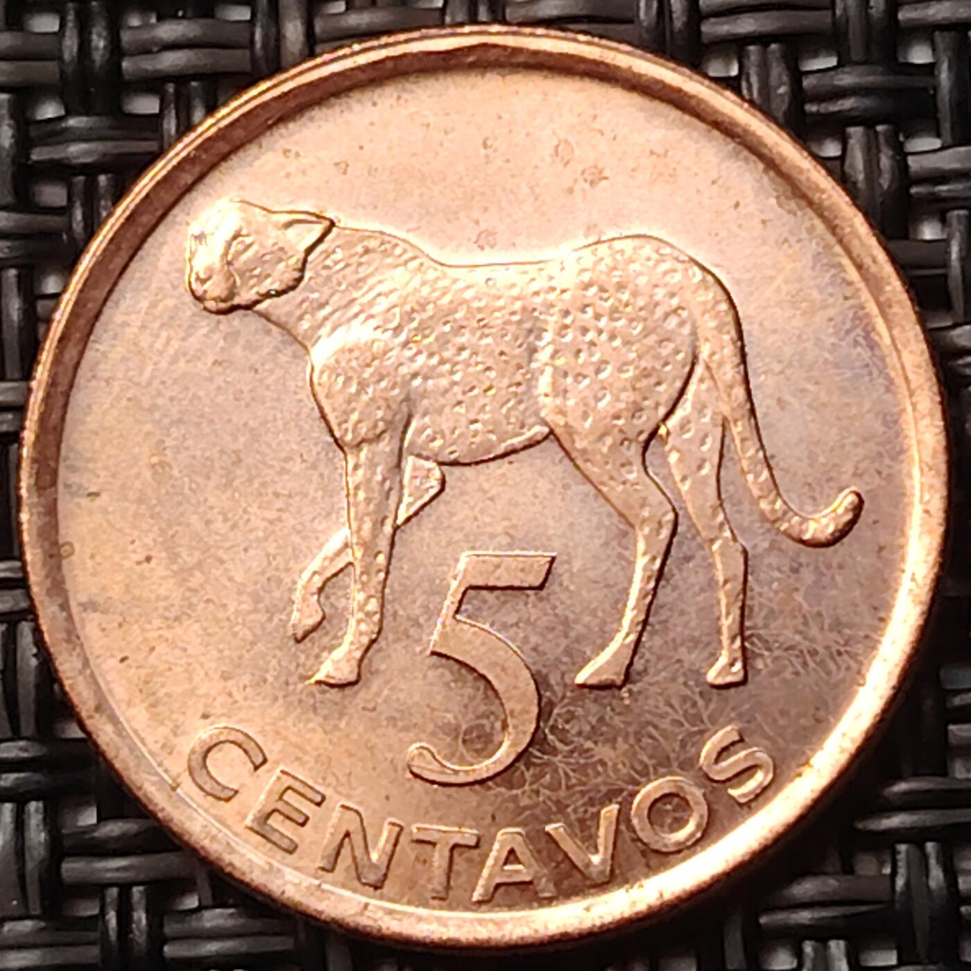 布加迪🐬～世界钱币(上海)🌾第 263 期 /  各国套币和散币 莫桑比克🇲🇿 2006年 5分 ~C5