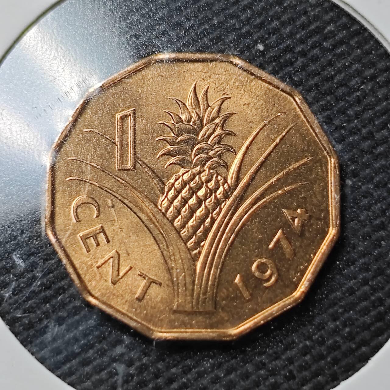 KK钱币收藏小铺  第358场  2月预留时间 周末发货  1974斯威士兰1分铜币 好品