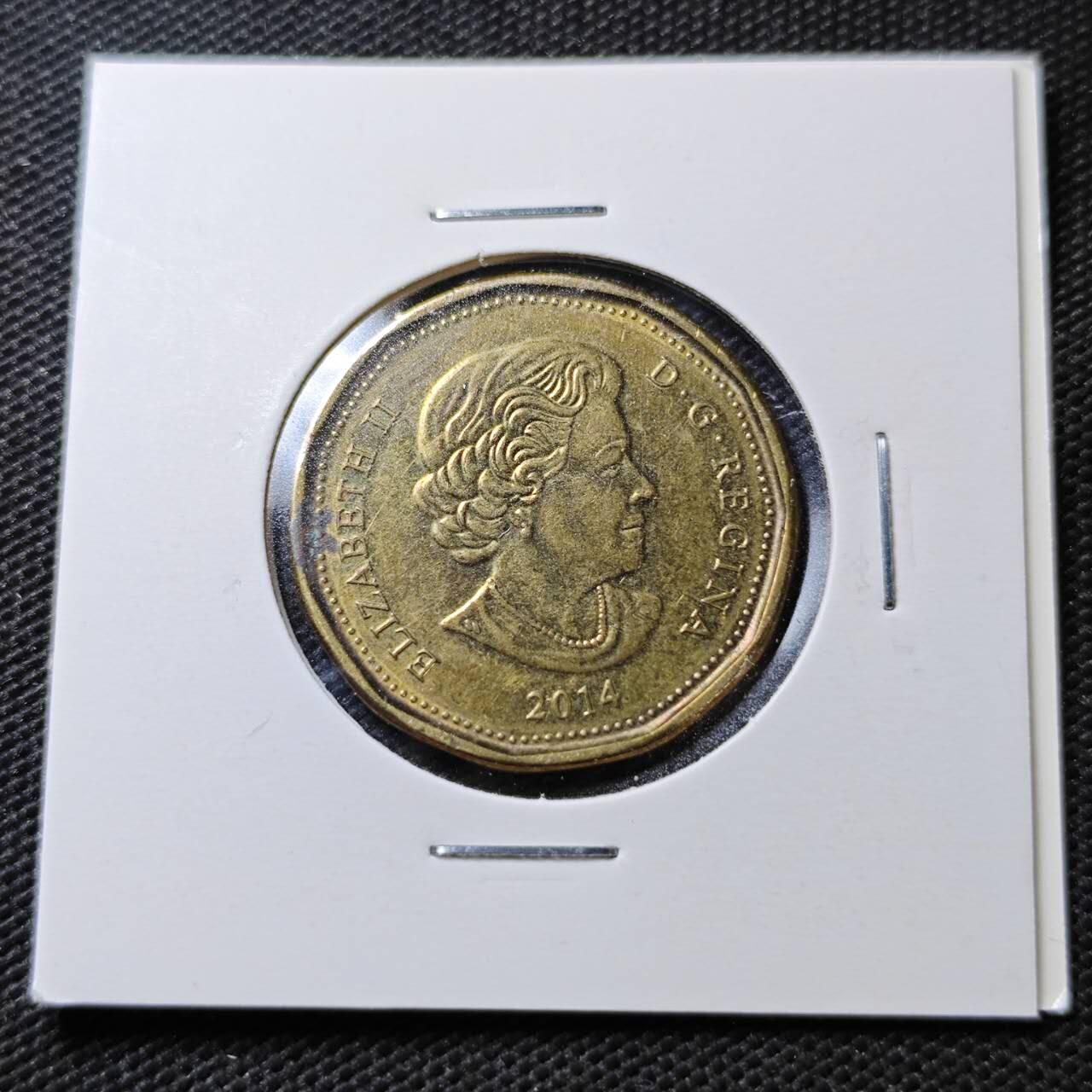 KK钱币收藏小铺  第358场  2月预留时间 周末发货 2014 加拿大1元 奥运纪念币