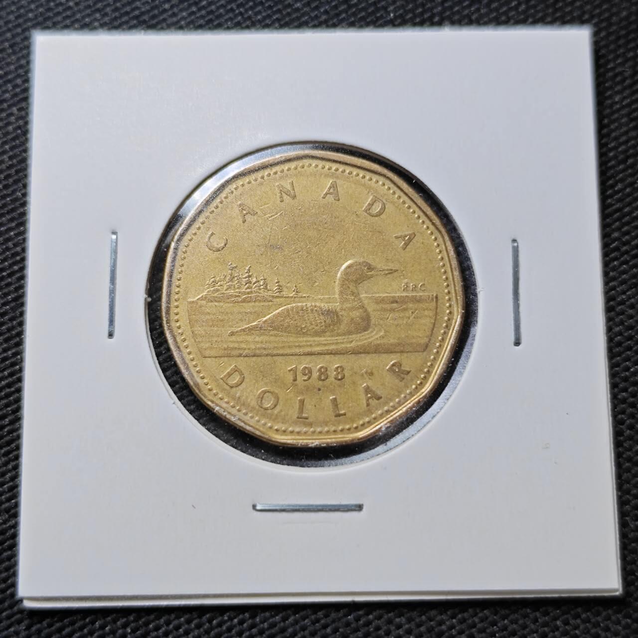 KK钱币收藏小铺  第358场  2月预留时间 周末发货