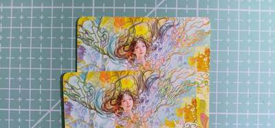 C先生卡牌 第15期 元集纪·刷子签·罐儿签·毒瘤签(持续收拍品中...) - 【幻彩】燎原×刷子《人间传》晴雯 双服饰