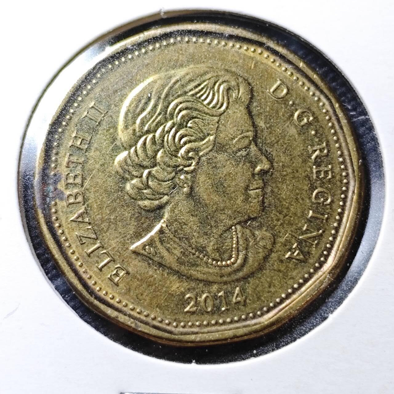 KK钱币收藏小铺  第358场  2月预留时间 周末发货 2014 加拿大1元 奥运纪念币