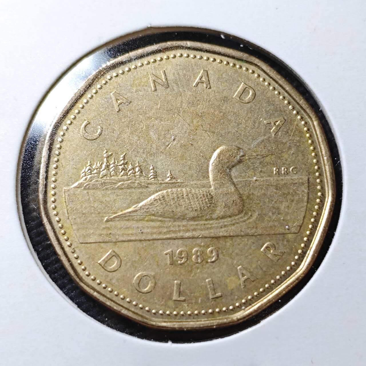 KK钱币收藏小铺  第358场  2月预留时间 周末发货  加拿大1元