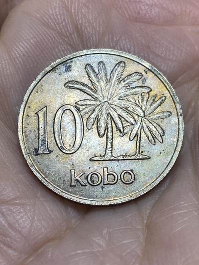 2025年第一百一十六场(总第一百四十二场）外国好品散币(免佣金) - 尼日利亚🇳🇬1973年10考包