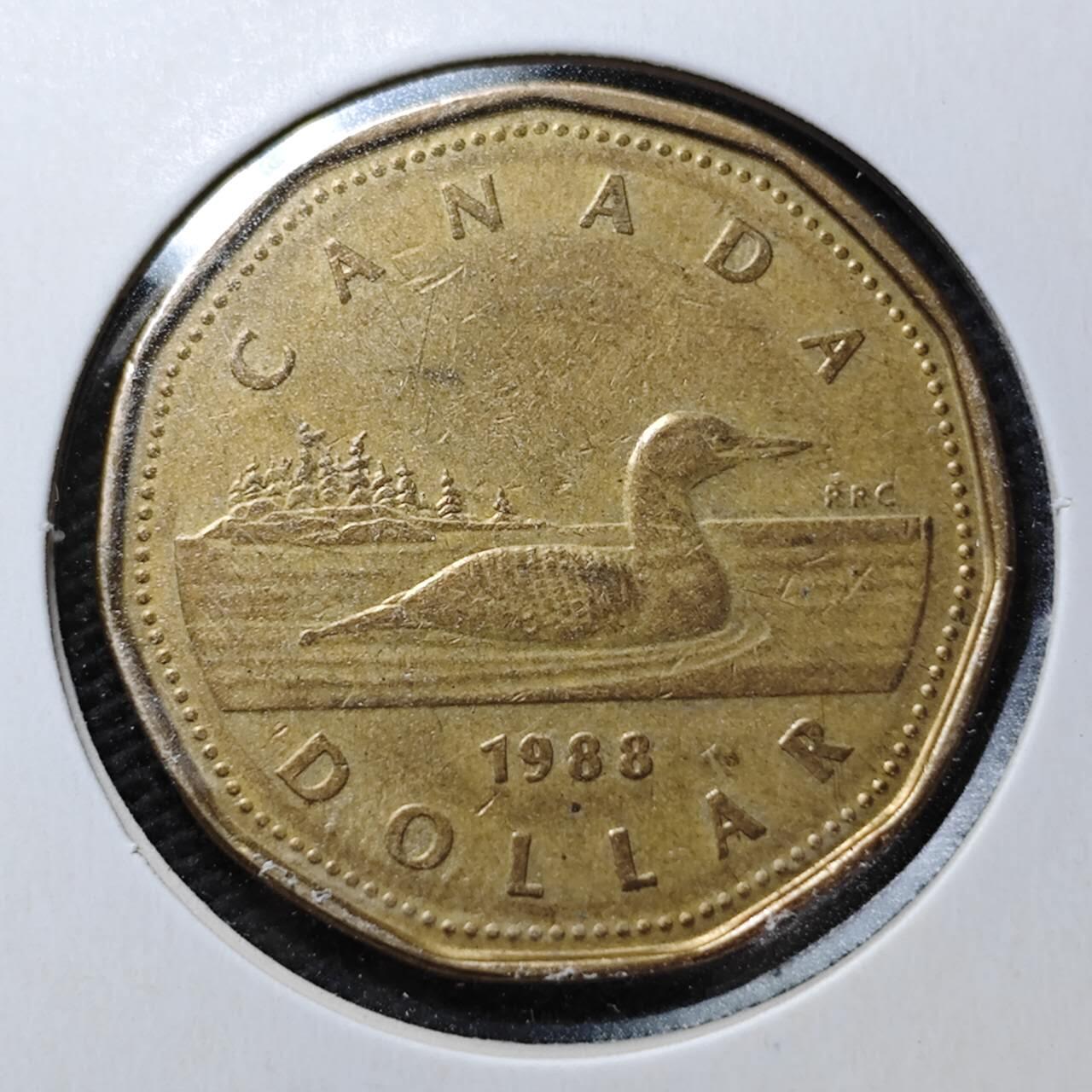 KK钱币收藏小铺  第358场  2月预留时间 周末发货