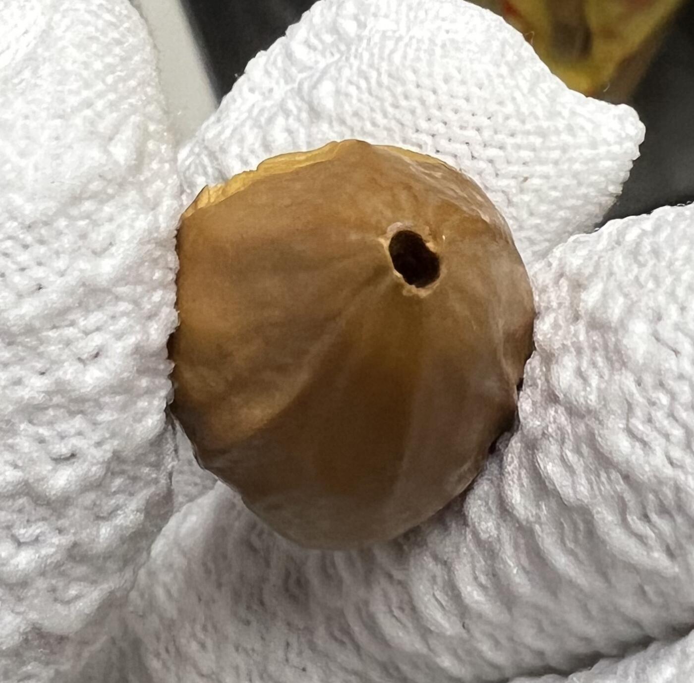 零元拍：橄榄核雕 虚空藏菩萨 单籽 38/21/20MM