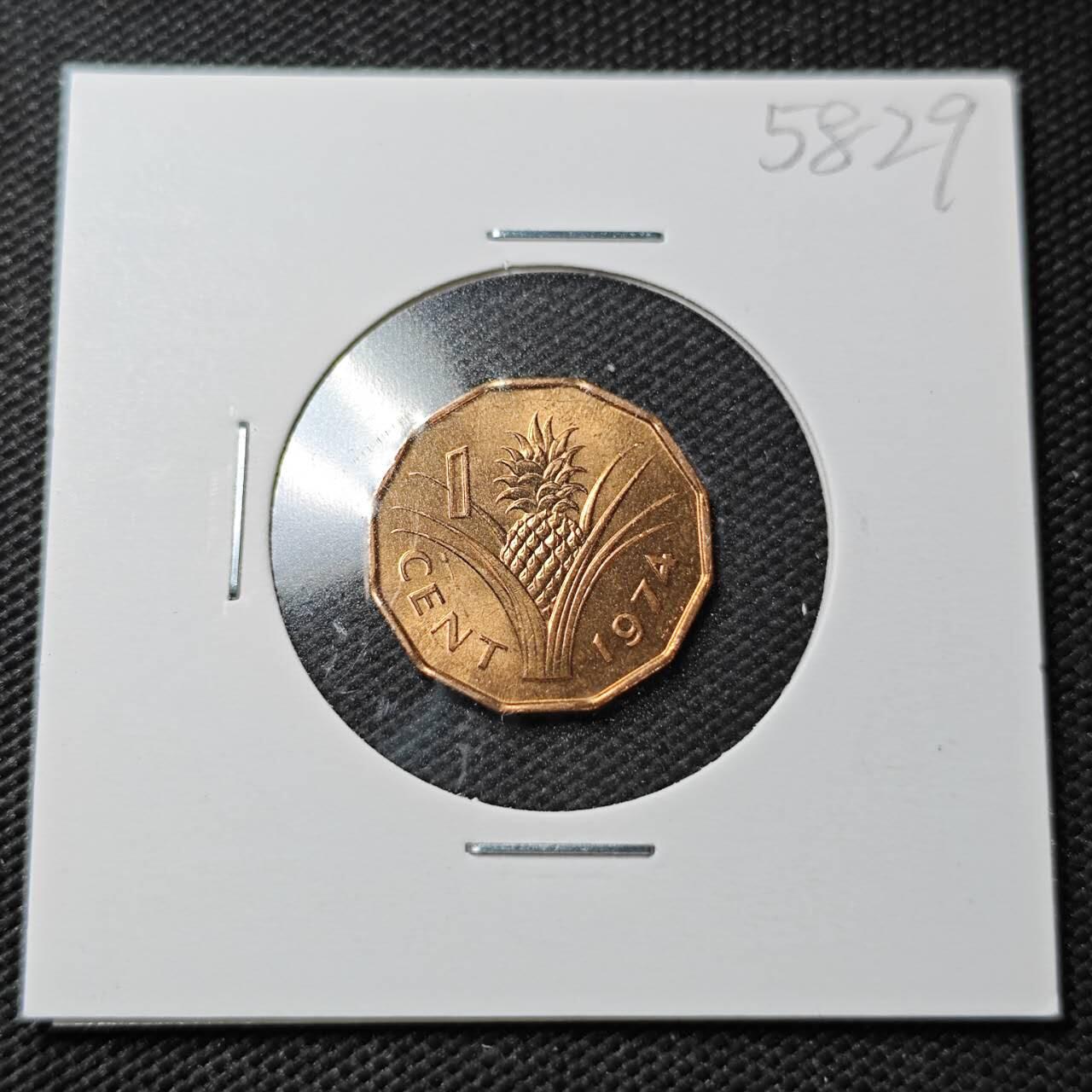 KK钱币收藏小铺  第358场  2月预留时间 周末发货  1974斯威士兰1分铜币 好品