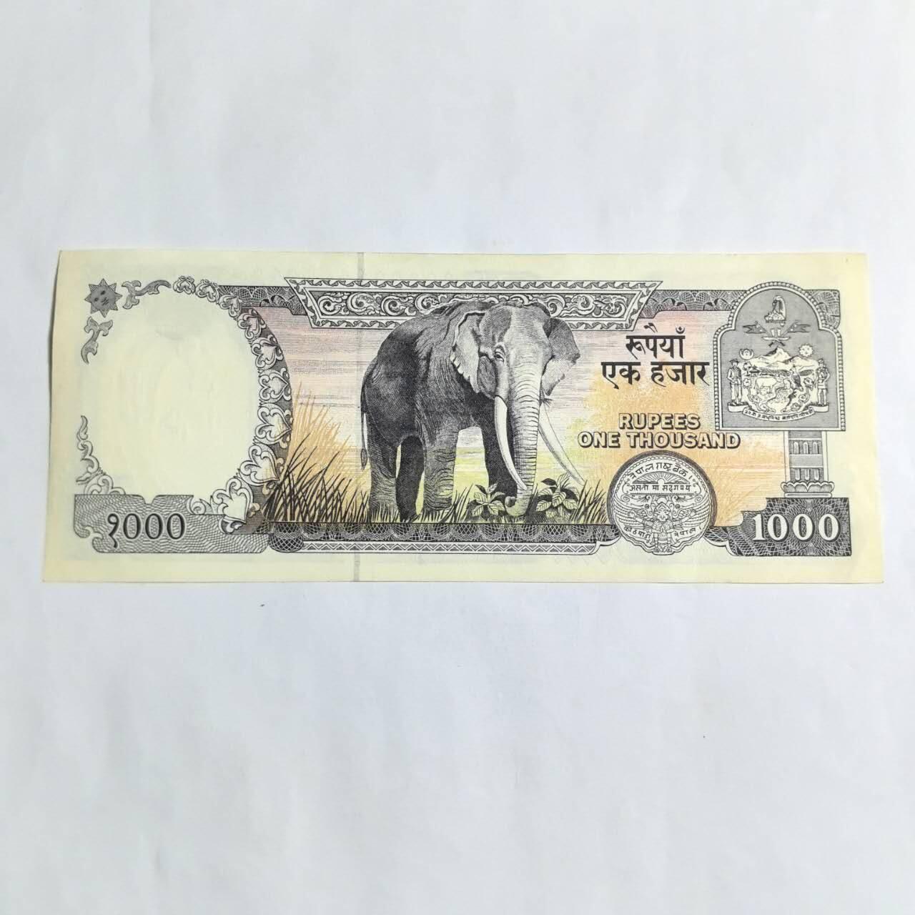 各国外币第94期 无佣金