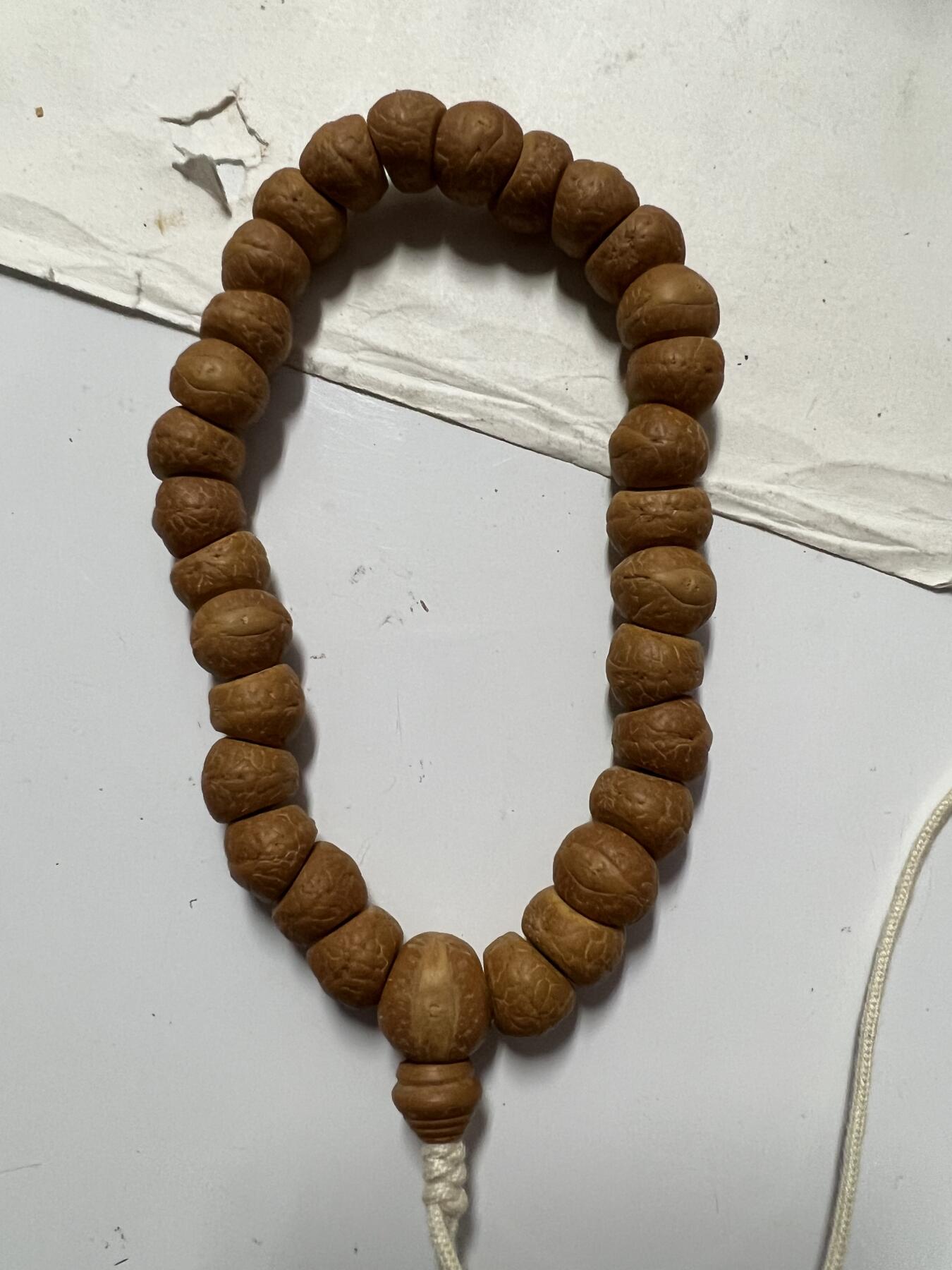 零元拍：W1-8 精工凤眼大肠 14.5 手持