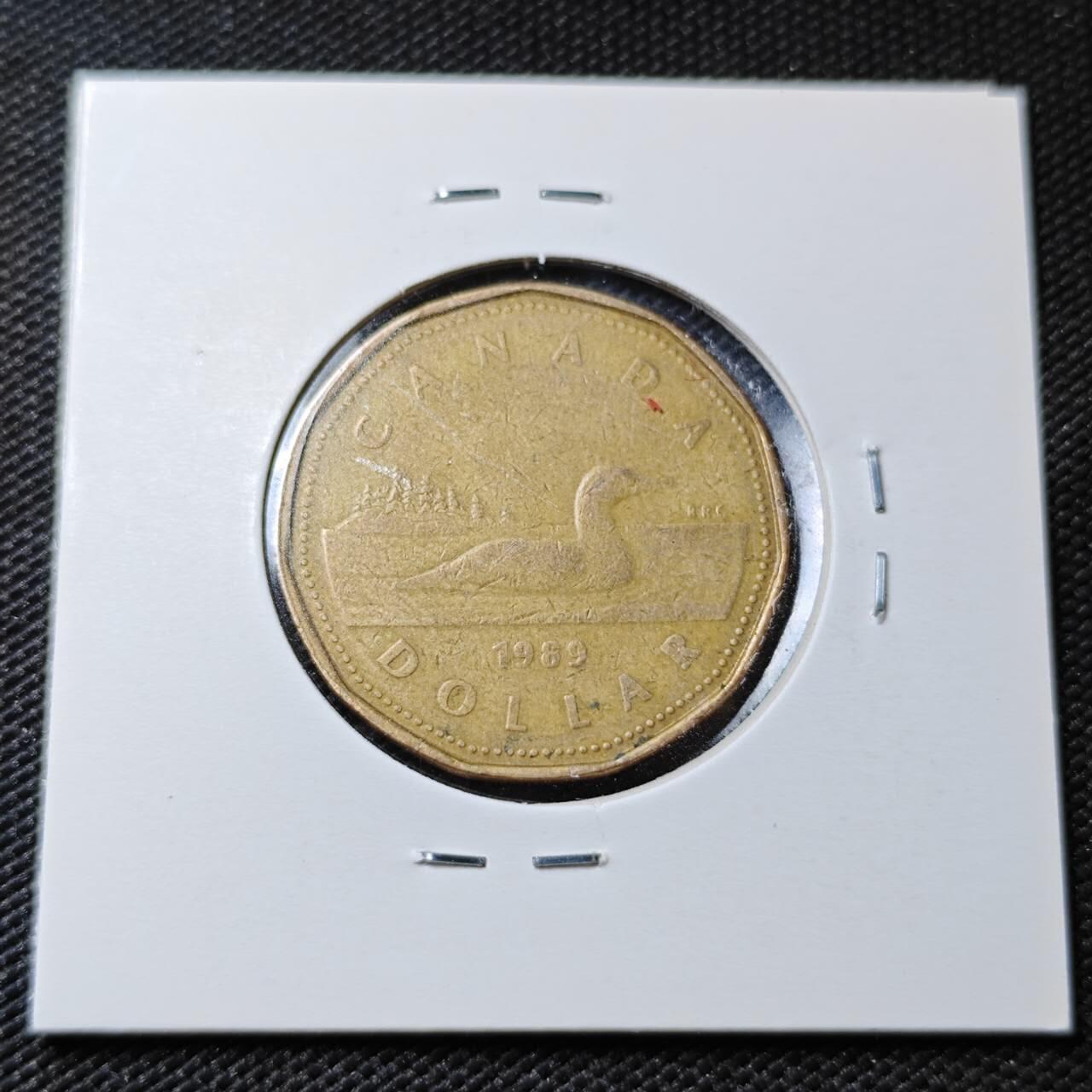 KK钱币收藏小铺  第358场  2月预留时间 周末发货  加拿大1元