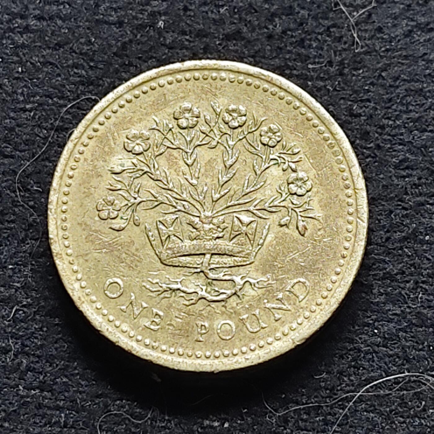 【全场包邮】纯粹捡漏拍472场（免费代拍第9场） 英国1991年1镑四邦国花系列北爱尔兰亚麻纪念币