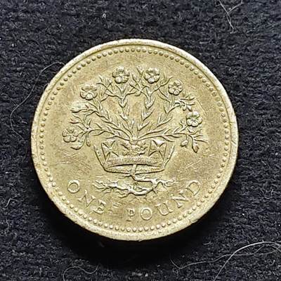 【全场包邮】纯粹捡漏拍472场（免费代拍第9场） - 英国1991年1镑四邦国花系列北爱尔兰亚麻纪念币