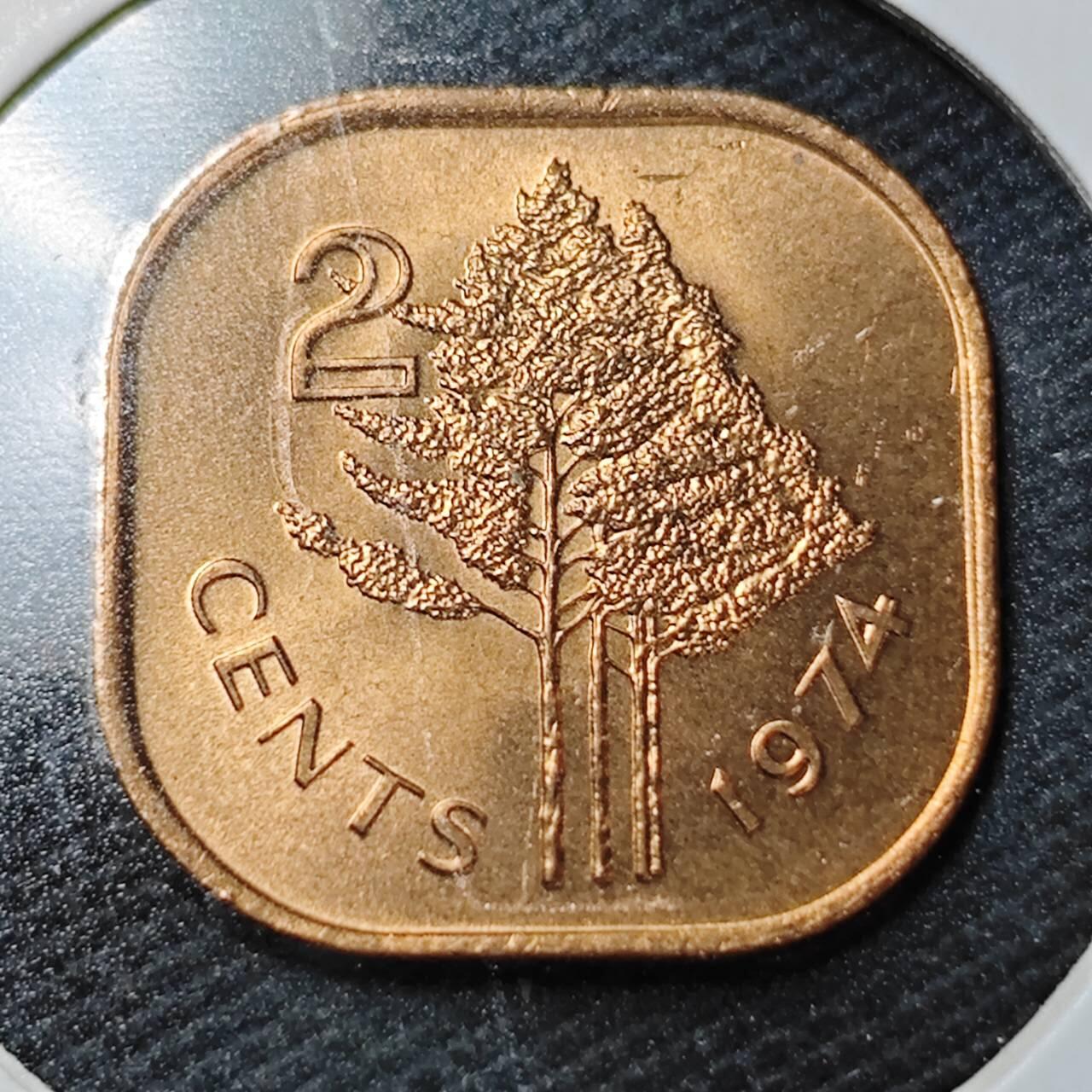 KK钱币收藏小铺  第358场  2月预留时间 周末发货  斯威士兰2分铜币 好品