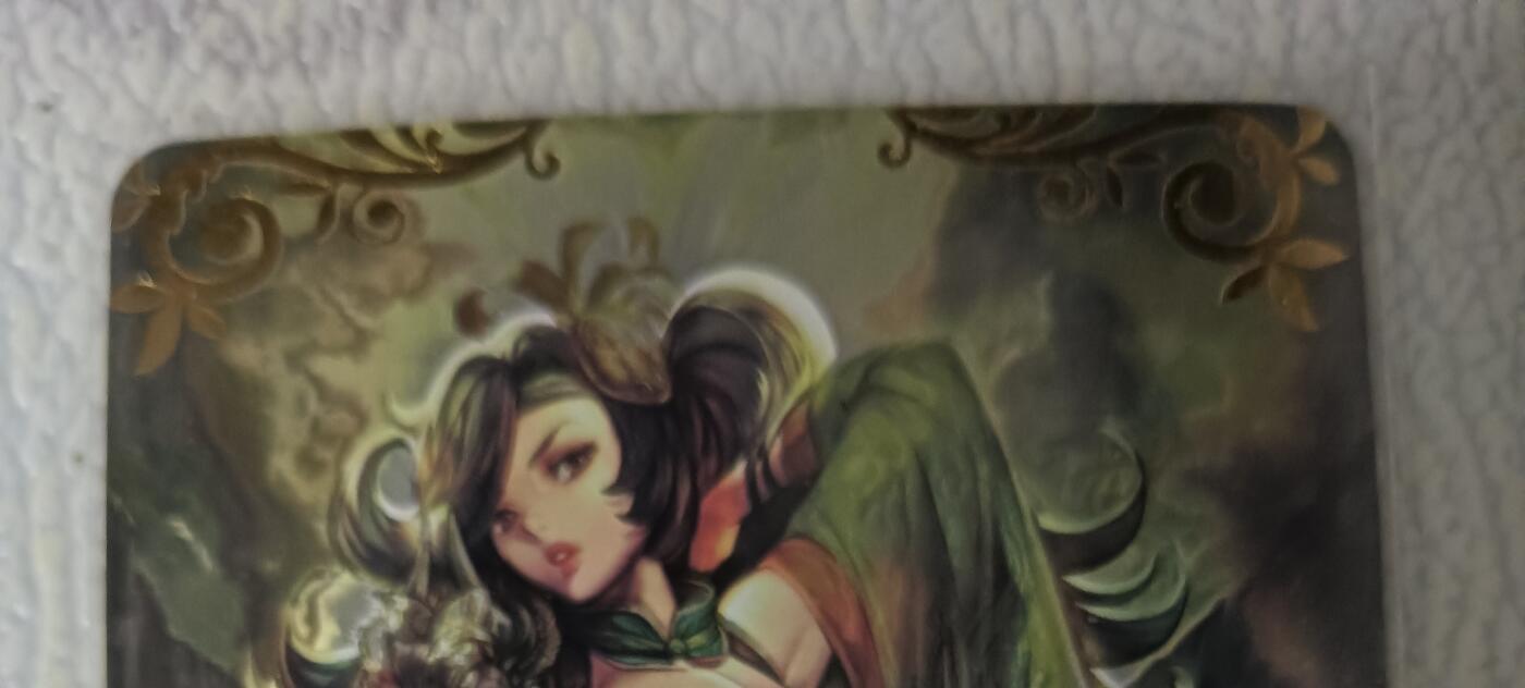 花开卡拍第44期（10月26号周日截拍，品控勿拍!!!拍品不寄存，运费5元，自制卡难免瑕疵，可能存在轻微撞角爆边等出厂瑕疵，品控介意勿拍！） 江东卡牌 战国美姬关羽 光刻