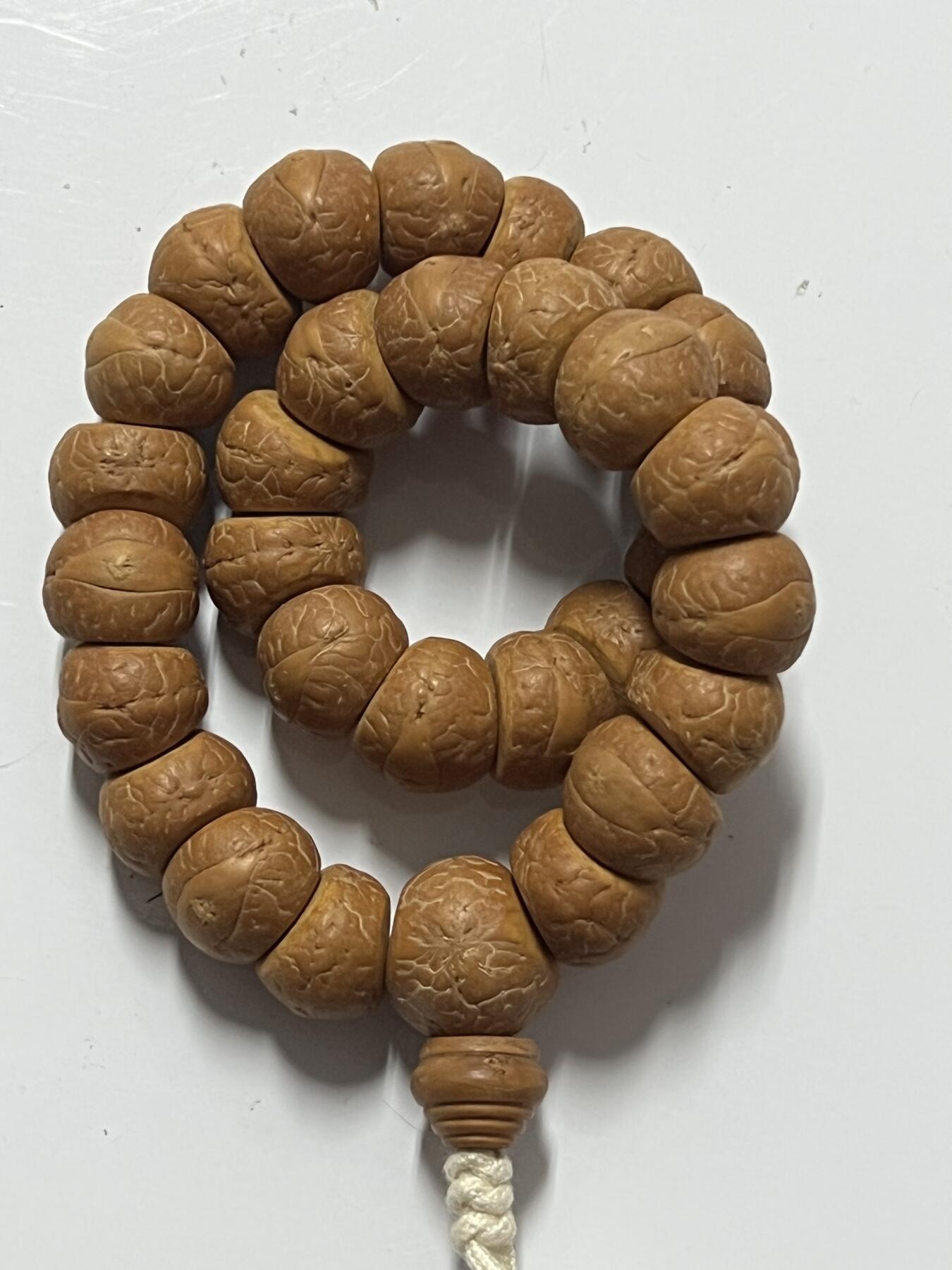 零元拍：W1-8 精工凤眼大肠 14.5 手持