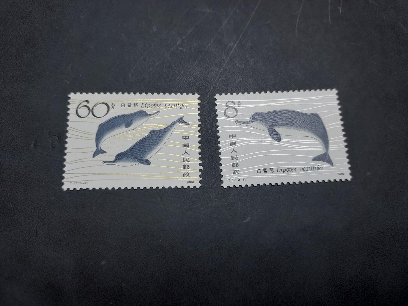 博彦收藏  11月3日 8点 邮票专场 白暨豚新全 全品