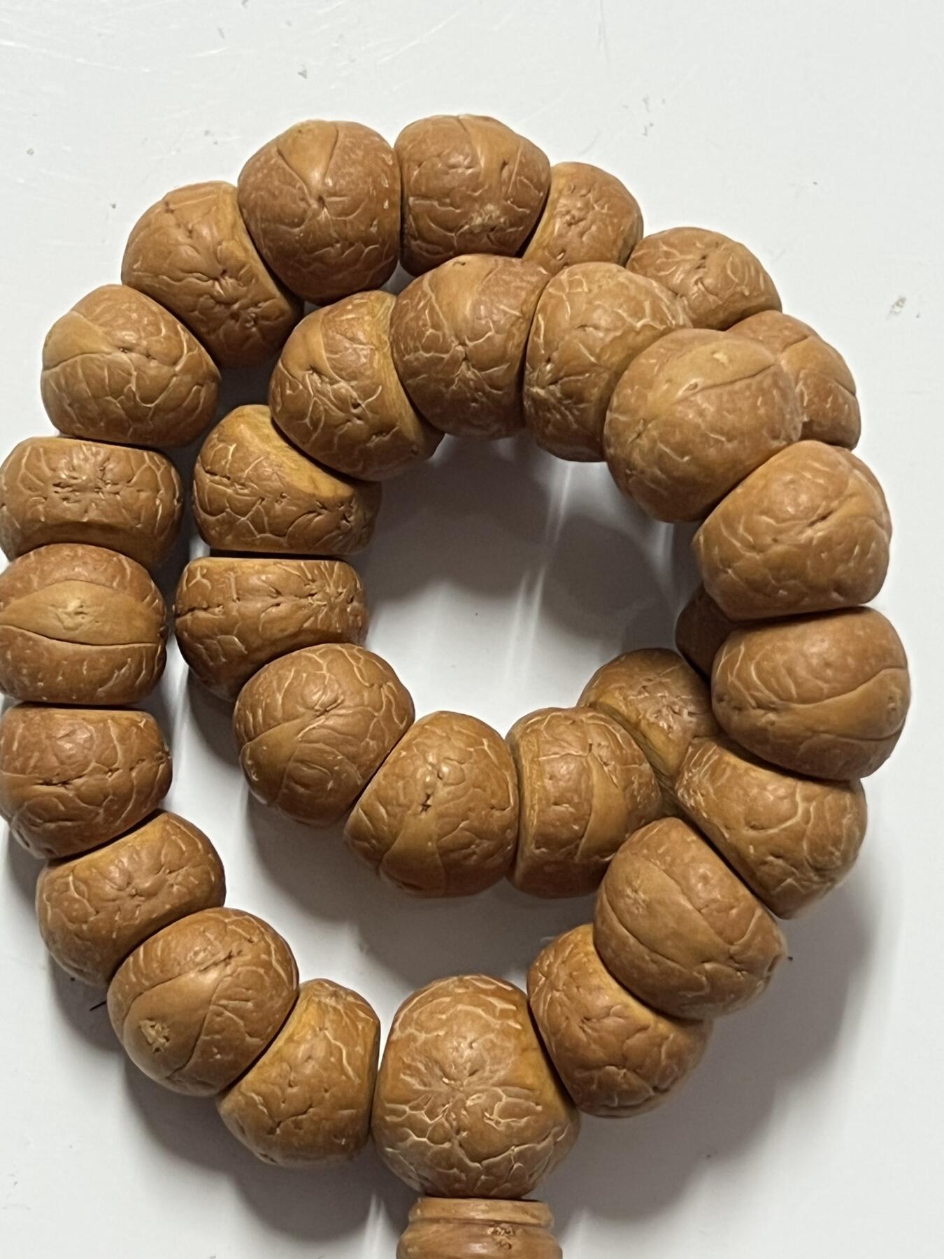 零元拍：W1-8 精工凤眼大肠 14.5 手持