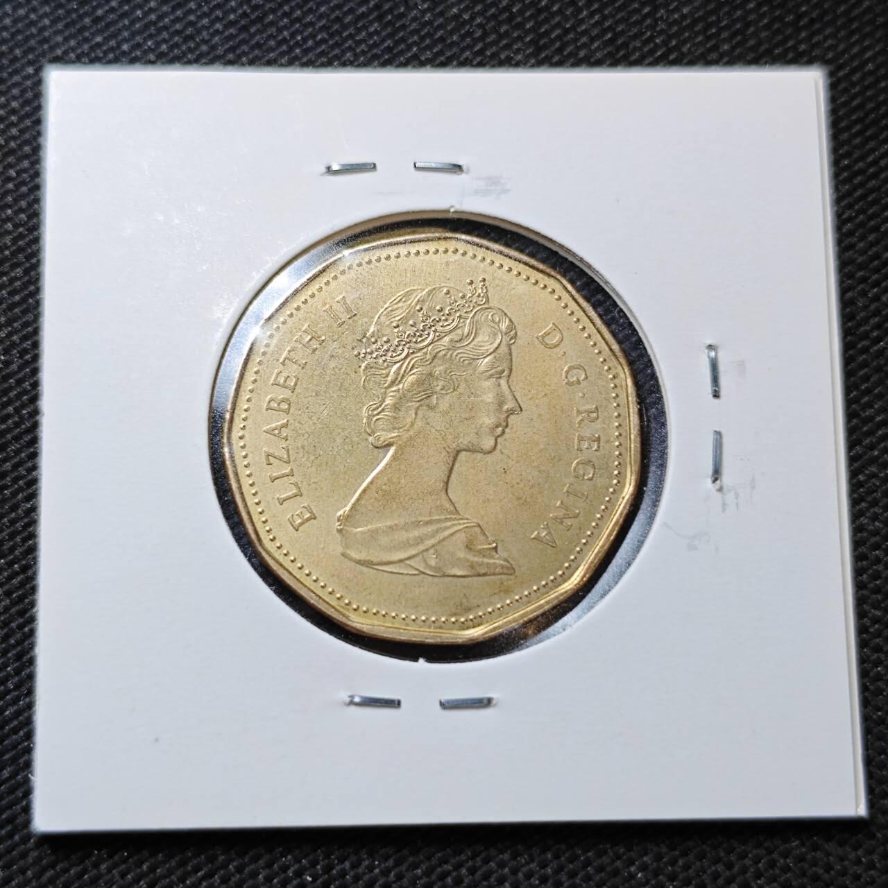 KK钱币收藏小铺  第358场  2月预留时间 周末发货  加拿大1元