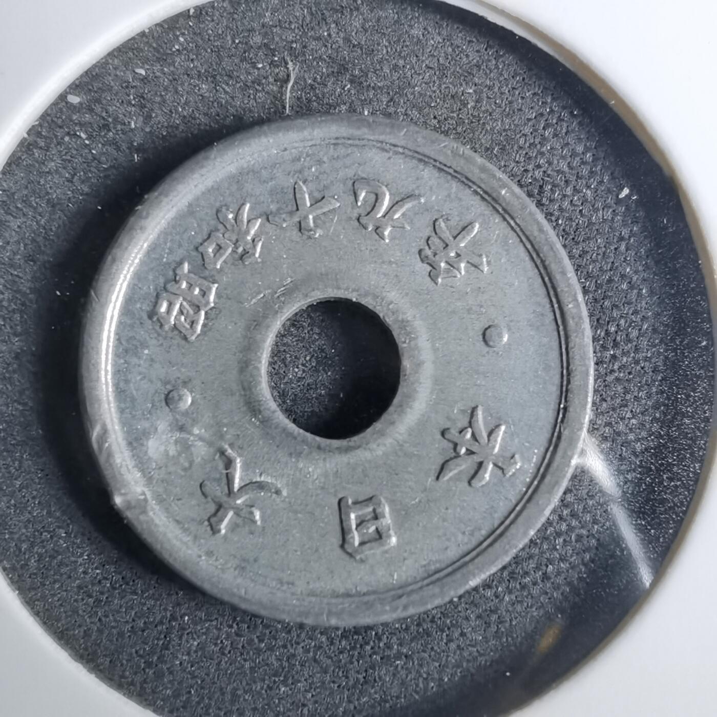 沼泽如烟--第883场