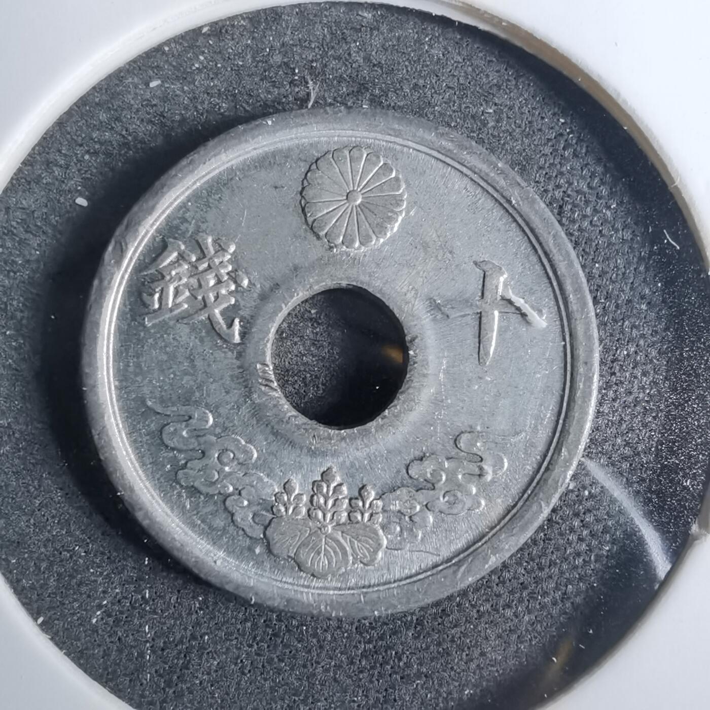 沼泽如烟--第883场