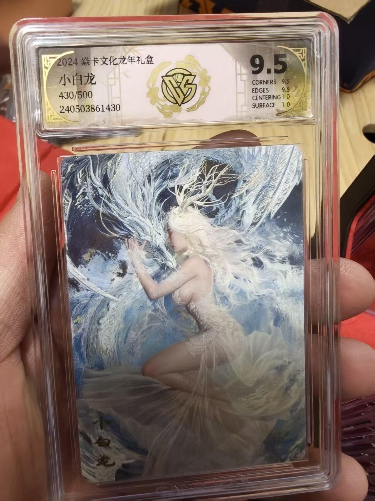 寸草不生拍卖会 第十二期 2024 焱卡文化龙年礼盒
小白龙
430/500