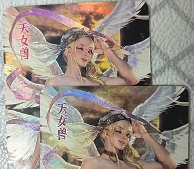 花开卡拍第44期（10月26号周日截拍，品控勿拍!!!拍品不寄存，运费5元，自制卡难免瑕疵，可能存在轻微撞角爆边等出厂瑕疵，品控介意勿拍！） - 天女兽 艺术对卡 1套2张 彩闪