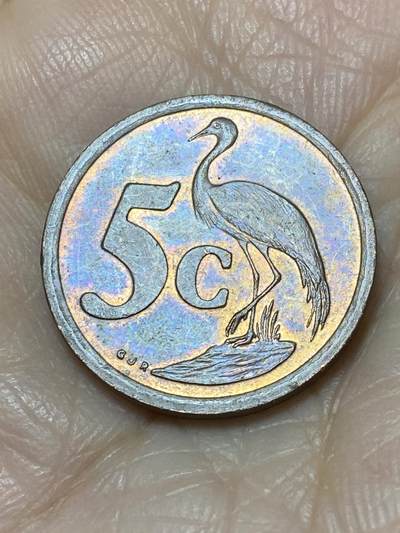 2025年第一百一十七场(总第一百四十三场）外国好品散币(免佣金) - 南非🇿🇦1997年5分