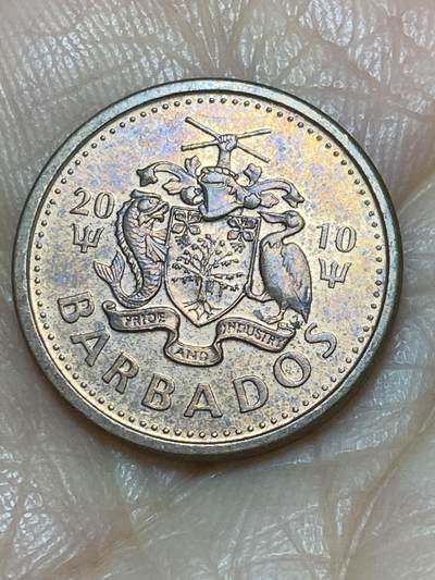 2025年第一百一十七场(总第一百四十三场）外国好品散币(免佣金) 巴巴多斯🇧🇧2010年1分