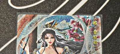 比较正常的拍卖场 不寄存 不寄存（需要看图私信） - 卡玩帕克三国姬曹植