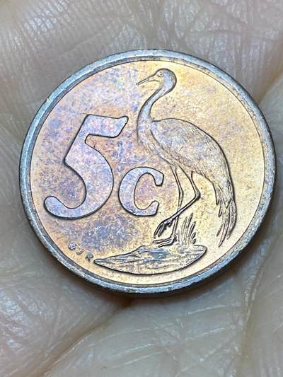 2025年第一百一十七场(总第一百四十三场）外国好品散币(免佣金) - 南非🇿🇦1997年5分