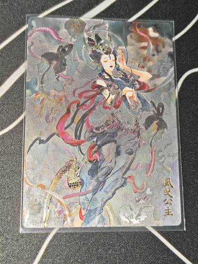 比较正常的拍卖场 不寄存 不寄存（需要看图私信） - 风曳公主粗闪