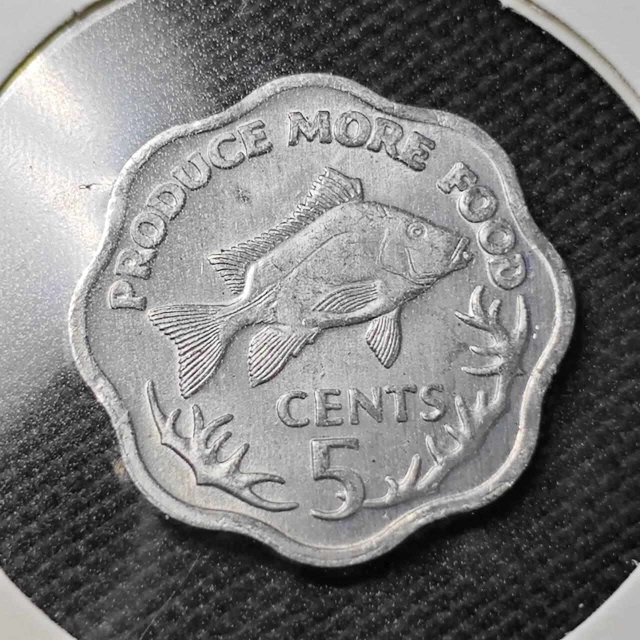 KK钱币收藏小铺  第358场  2月预留时间 周末发货  1977塞舌尔5分 鱼 好品