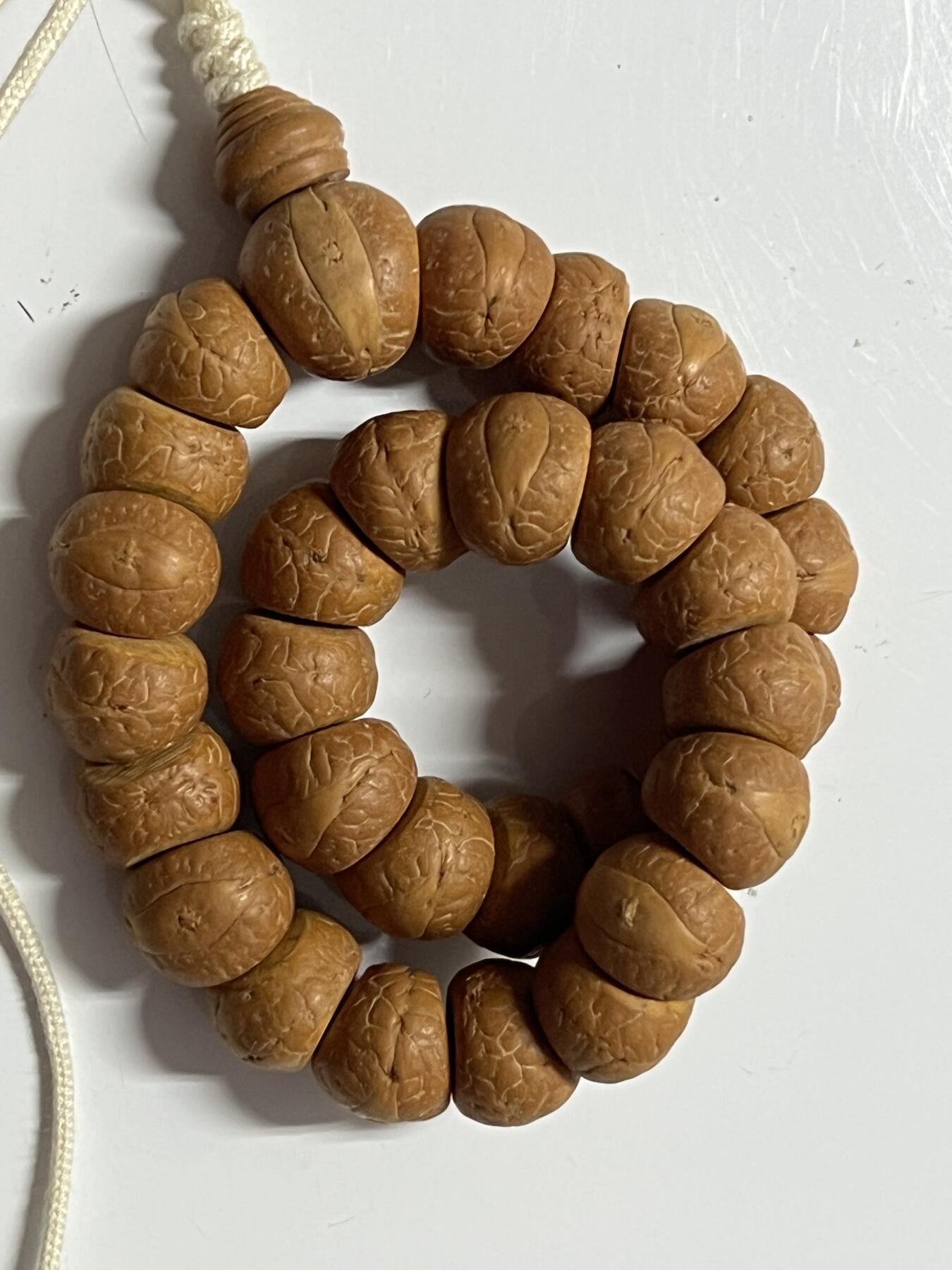 零元拍：W1-8 精工凤眼大肠 14.5 手持