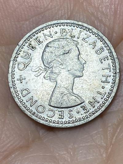 2025年第一百一十七场(总第一百四十三场）外国好品散币(免佣金) 新西兰🇳🇿1957年3便士(伊丽莎白二世青年桂冠第二版)