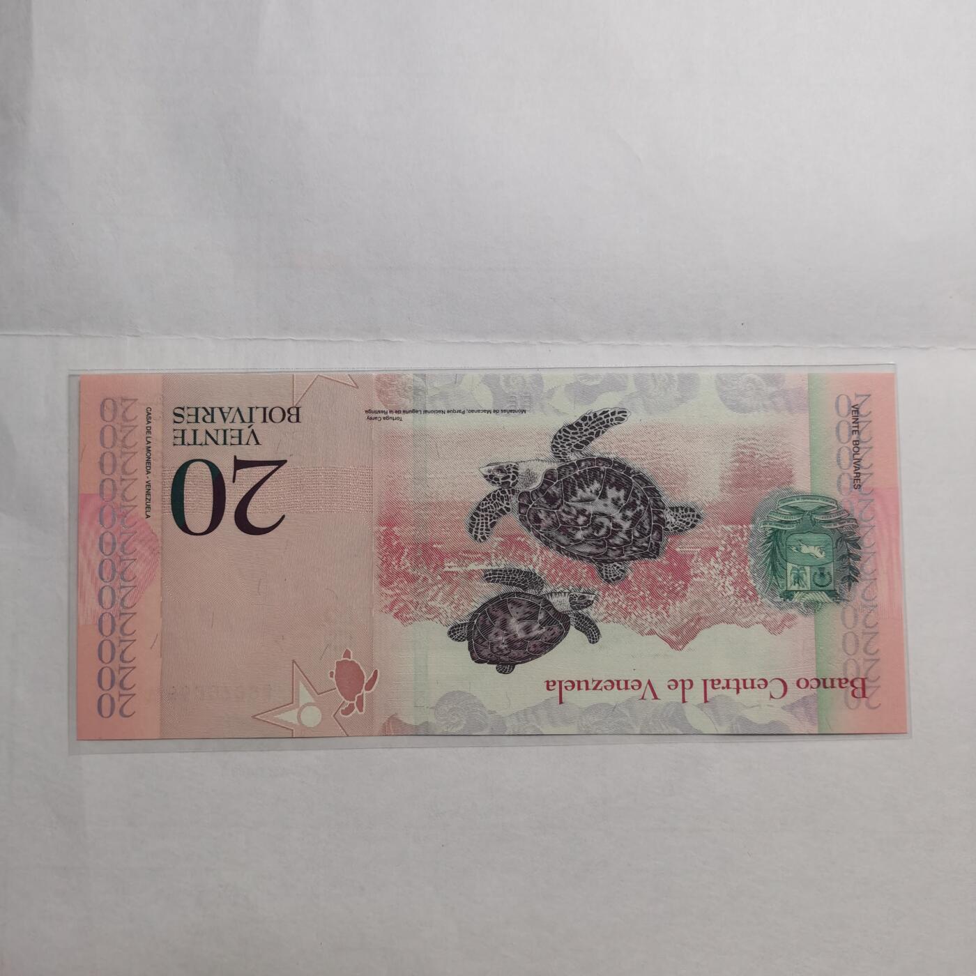 各国外币第95期 均全新票无佣金