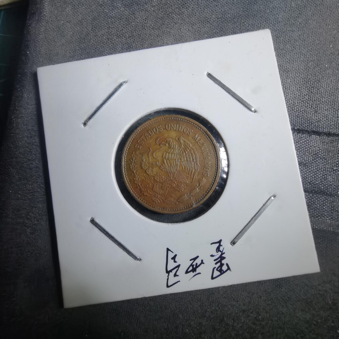 沼泽如烟--第882场