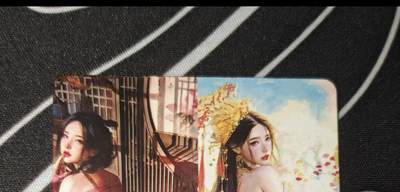 比较正常的拍卖场 不寄存 不寄存（需要看图私信） 卡友自制人间传光栅卡双人物（潘巧云 胡奿）